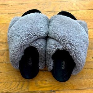 Grey fluffy ROAM slides